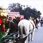 Marrakech Horse Carriage Tour with dinner