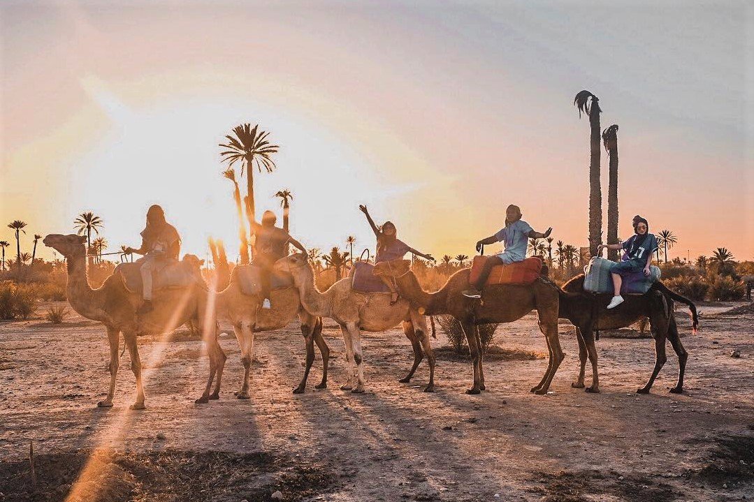 Marrakech Horse Carriage tour